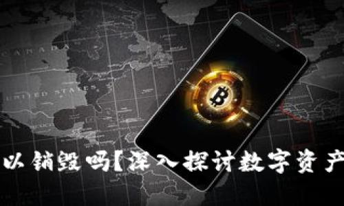 区块链钱包可以销毁吗？深入探讨数字资产的安全与管理