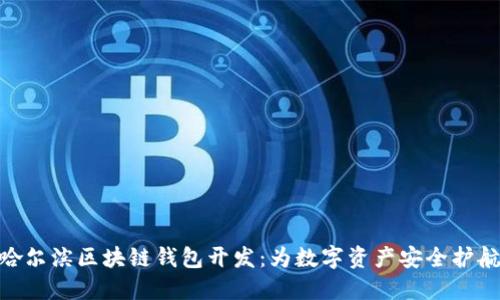 哈尔滨区块链钱包开发：为数字资产安全护航